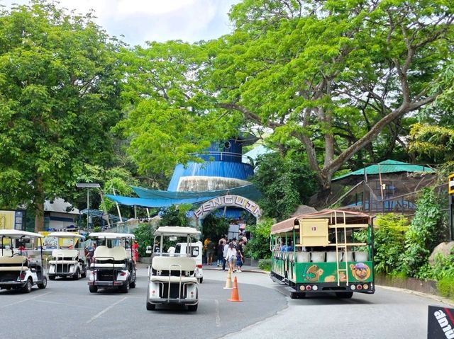 🌳 พาเที่ยวแบบเข้าป่า ที่สวนสัตว์เปิดเขาเขียว 🦒