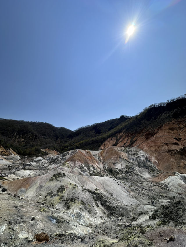 2025五月北海道獨遊追櫻之旅🌸 - 第三彈