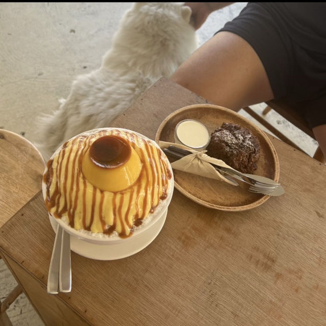 トゥカインズオブコーヒー