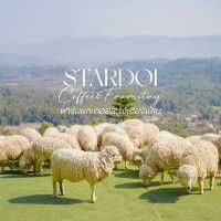 StardoiCoffee&Farmstay ที่พักฟาร์มแกะดอยสะโง้