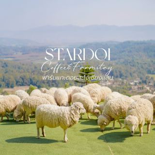 StardoiCoffee&Farmstay ที่พักฟาร์มแกะดอยสะโง้