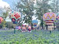 A Floral Wonderland Awaits