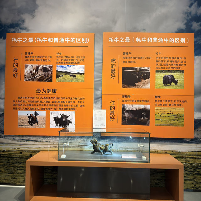 The Jamri Museum in Shangri-La 🦬