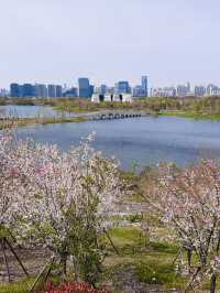 Blossoms Between Icons: Spring Awakens at Shanghai Expo Cultural Park
