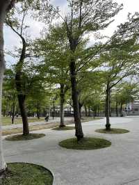 穿梭光影與線條的藝術之旅：高雄市立美術館體驗