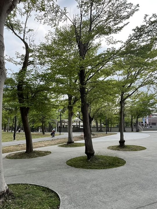 穿梭光影與線條的藝術之旅：高雄市立美術館體驗