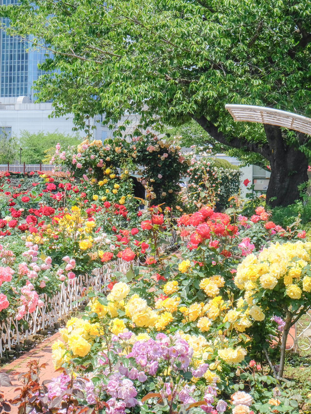 【品川】まるで都会のオアシス⁈バラが咲く癒しの公園