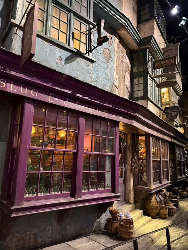Wand Shops and Wizarding Wonders: Diagon Alley