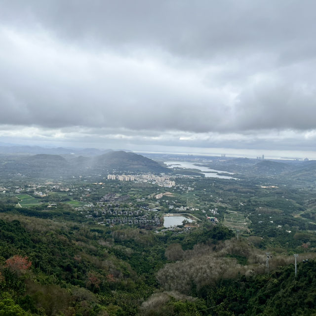 Immersed in Nature: Exploring Yanoda Rainforest in Hainan 
