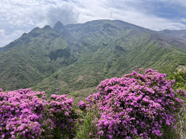 天空の花畑　仙酔峡