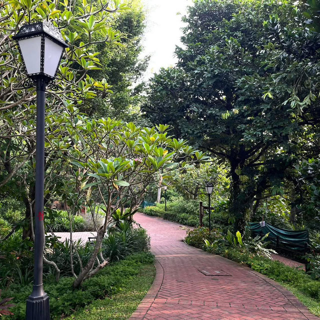 Fort Canning Morning & a Flaky Start at Tiong Bahru Bakery