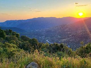 Giants of the Forest: Exploring Sequoia National Park