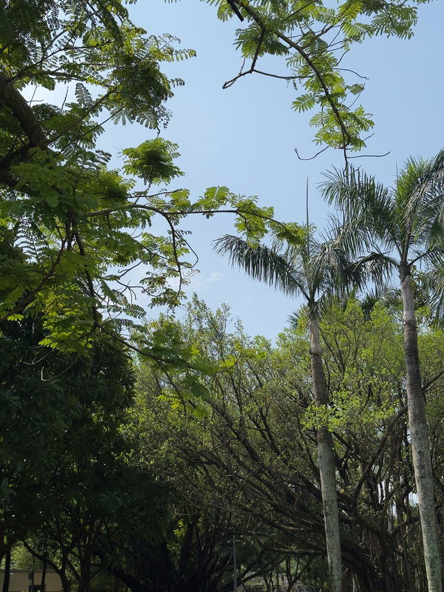 端午節好去處｜台北大安森林公園的節日體驗