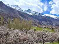  The soul of Pakistan—where history