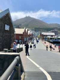 A Laid-Back Day in Hakodate – Bayside Strolls & Starry Views