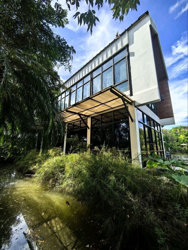 คาเฟ่ลับกลางสวนที่ตากฟ้า 