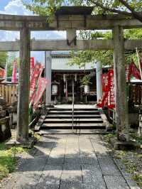 A Gentle Day in Yamashina – Temples, Trails & Tea