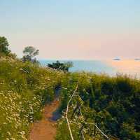 🌊 이번 주 꼭 가야 할 꽃면서, 바다와 샤스타데이지를 한 눈에🌼 부안 변산마실길
