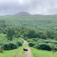 Scaling the Heights: Pap of Glencoe Adventure
