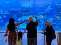 City of Heights: 24 Hours in Dubai from Mega Malls to Burj Khalifa Views