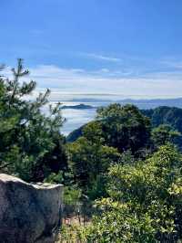 Sky-High Stroll in Miyajima
