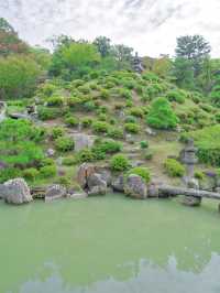 【行く前にこれ見て】名勝庭園を彩る翠の絨毯！心静かに新緑の美を味わう🌿✨※周辺観光情報付