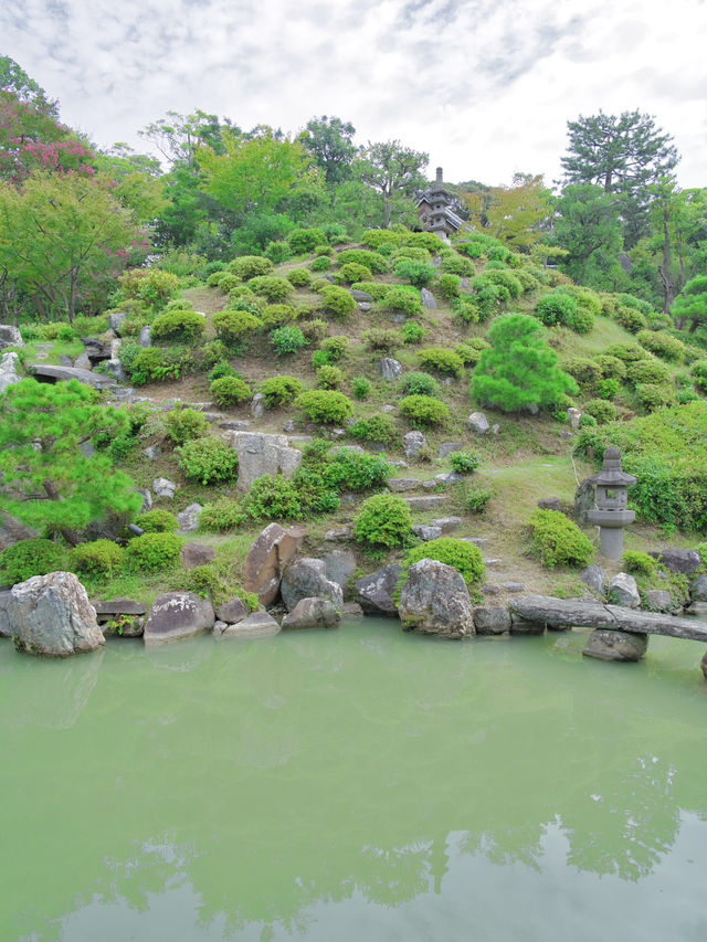 【行く前にこれ見て】名勝庭園を彩る翠の絨毯！心静かに新緑の美を味わう🌿✨※周辺観光情報付