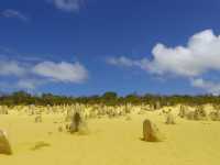 【パース🇦🇺】ユニークな景色✨️ピナクルズ