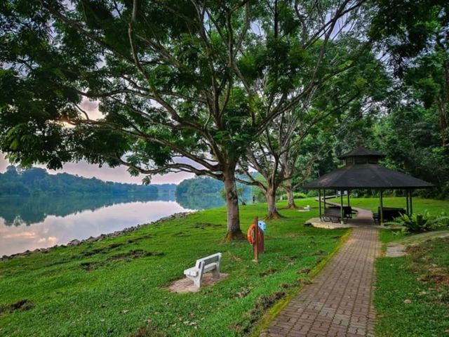 Peaceful Family Day at Lower Peirce Reservoir