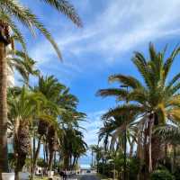 Tenerife An Island Of A Thousand Charms