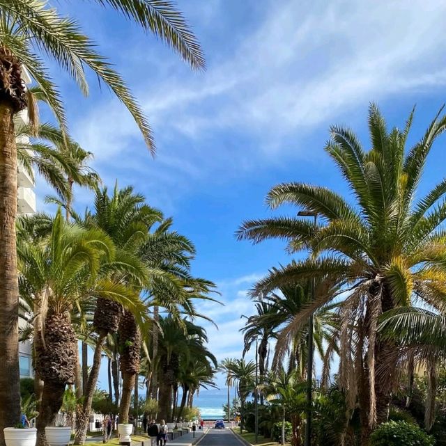 Tenerife An Island Of A Thousand Charms