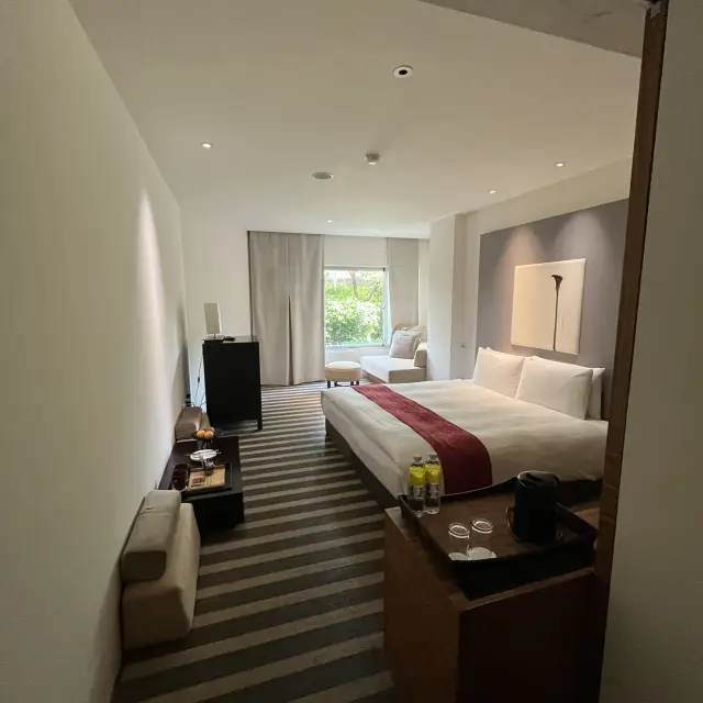 Chill Place - Yangmingshan