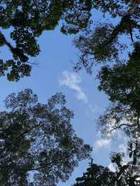 Cooling Off at Lata Changkah – Setiu’s Hidden Nature Escape!