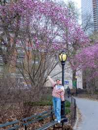 รถม้าพาเที่ยวเซ็นทรัลปาร์ค (Central Park)