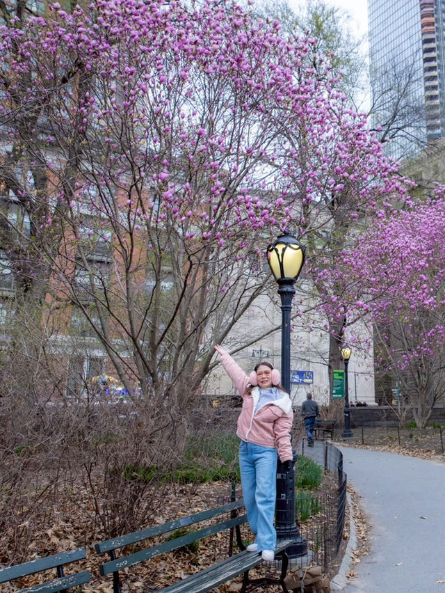 รถม้าพาเที่ยวเซ็นทรัลปาร์ค (Central Park)
