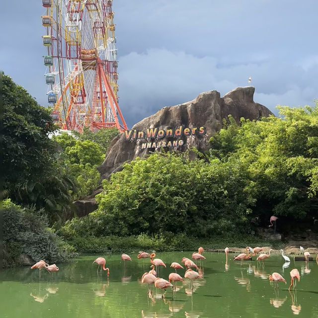 🇻🇳 First Day in Nha Trang — Fell in Love with VinWonders! 🎢🌅💖