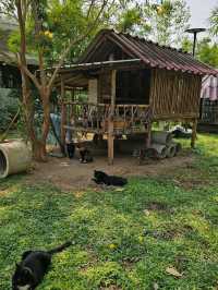 วัดเวฬุวนาราม