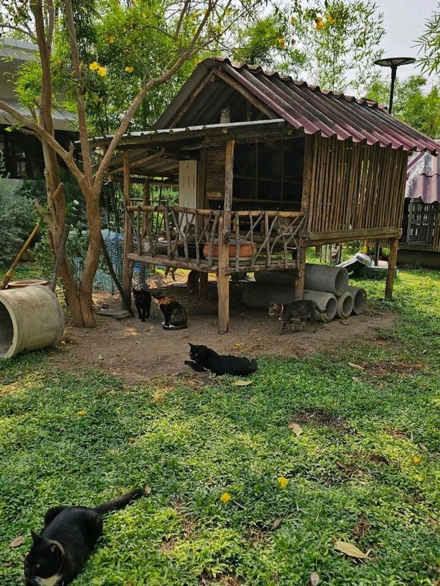 วัดเวฬุวนาราม