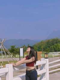 ISBJORN Chiang Dao คาเฟ่ที่สายถ่ายรูปห้ามพลาด