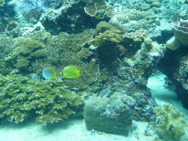 世界の美ら海水族館🐬🐋🏝️