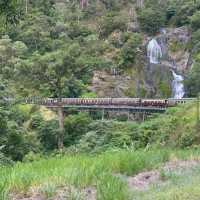 Kuranda Scenic Railway & Skyrail – QLD