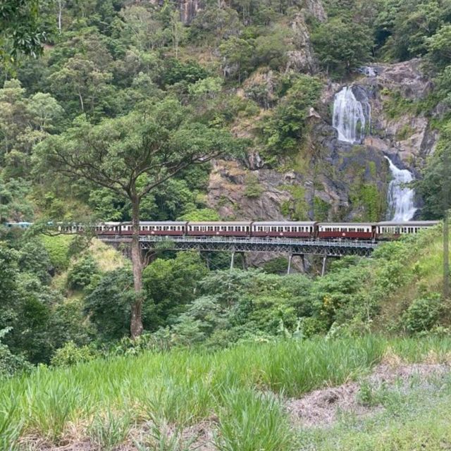 Kuranda Scenic Railway & Skyrail – QLD