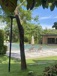 🖼️ The Gallery Hotel Nai Harn 