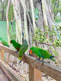 廣州長隆野生動物園