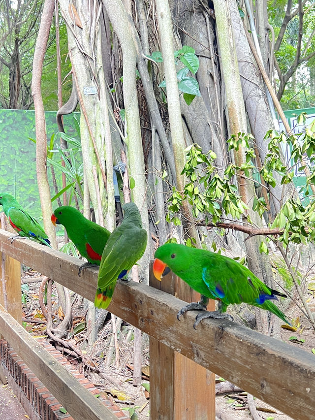 廣州長隆野生動物園