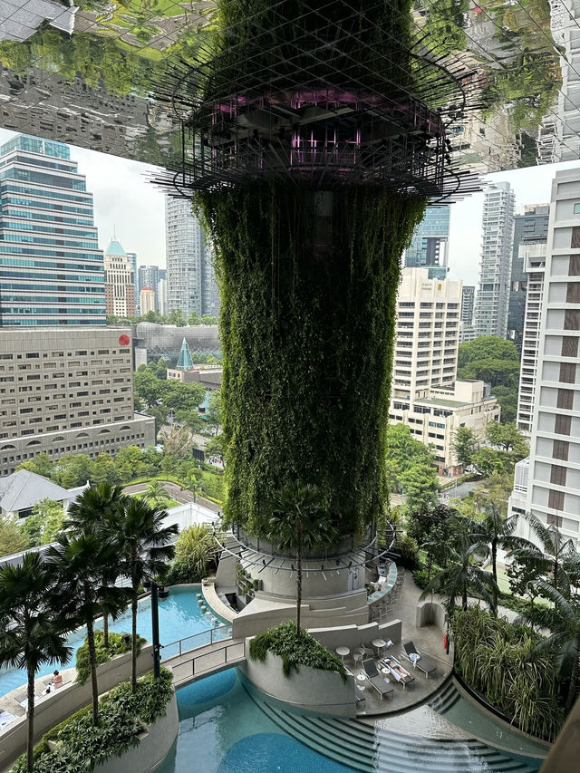 Experience Luxury at Pan Pacific Orchard Hotel in Singapore 🇸🇬 