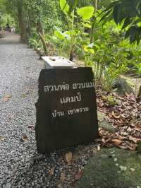 สวนพ่อ สวนแม่แคมป์เขาคราม