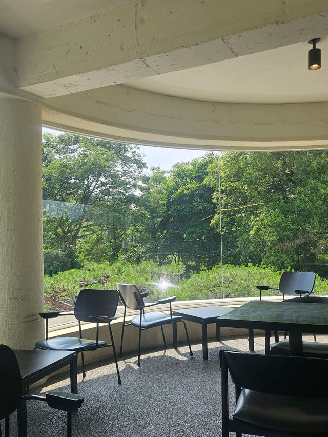 🌴🪵남양주브런치카페 와부읍 「팔숲」