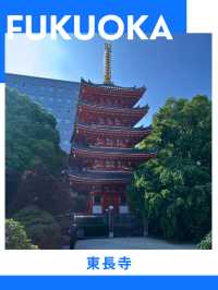 【福岡】半日モデルコース✈️