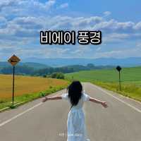 북해도 여름 여행지로 꼭 가볼 비에이 🏠🏡